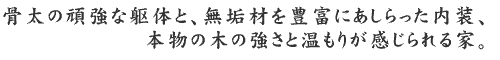 �����̊拭�ȋ�̂ƁA���C�ނ�L�x�ɂ�������������A�{���̖؂̋����Ɖ����肪��������ƁB